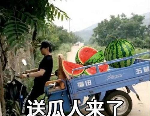 最近大瓜事件,揭秘明星隐私风波背后的真相-第1张图片-动漫人妻H无码中文字幕