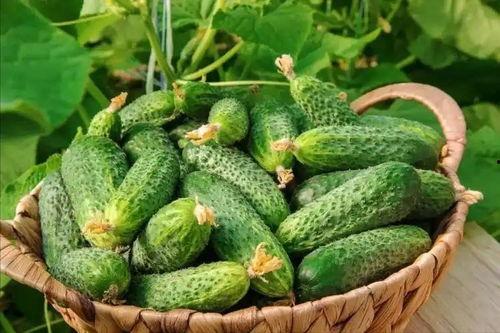 最近大瓜事件,揭秘明星隐私风波背后的真相-第2张图片-动漫人妻H无码中文字幕