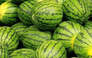 吃瓜网官网免费观看 吃瓜网官网,免费观看，畅享娱乐盛宴-第2张图片-动漫人妻H无码中文字幕