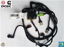 国产发电机线束安装视频,视频详解操作步骤-第1张图片-动漫人妻H无码中文字幕