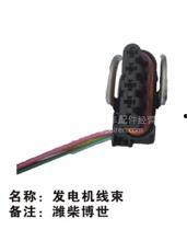 国产发电机线束安装视频,视频详解操作步骤-第2张图片-动漫人妻H无码中文字幕