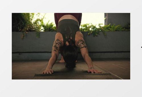 国产纹身女郎视频网站,展现独特魅力，引领时尚潮流-第1张图片-动漫人妻H无码中文字幕