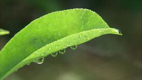 国产精品水滴视频,见证中国科技与创意的璀璨之光-第1张图片-动漫人妻H无码中文字幕