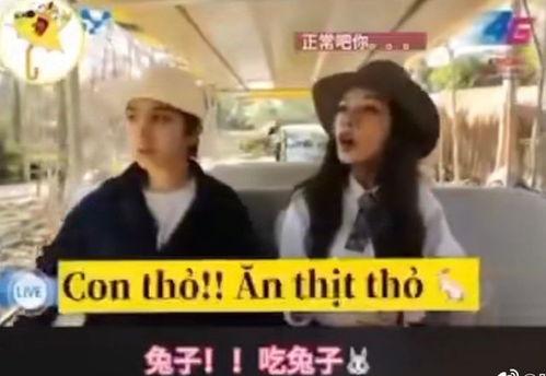 国产选手翻车视频大全集,笑料百出，泪点满满-第2张图片-无码人妻蜜肉动漫中文字幕