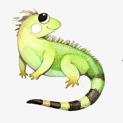 蜥蜴相关视频动画片国产,探寻神秘生物的奇幻之旅-第1张图片-无码人妻蜜肉动漫中文字幕