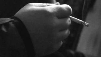 国产高清胖熊视频-第3张图片-无码人妻蜜肉动漫中文字幕